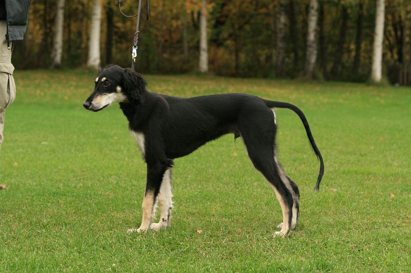 pelto_hvk_alepan_lapset 327.jpg
